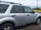 Ford Escape Xlt Image 10
