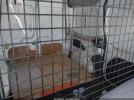Ford Transit Xl Image 10