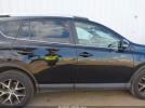 Toyota RAV4 Se Image 15