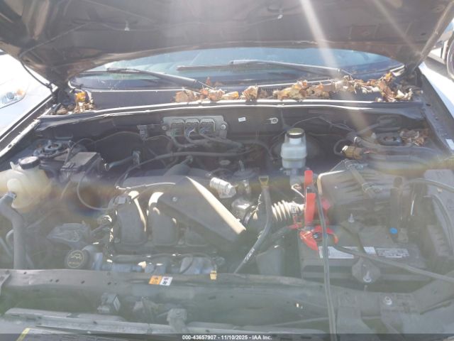 Ford Escape Limited Image 7