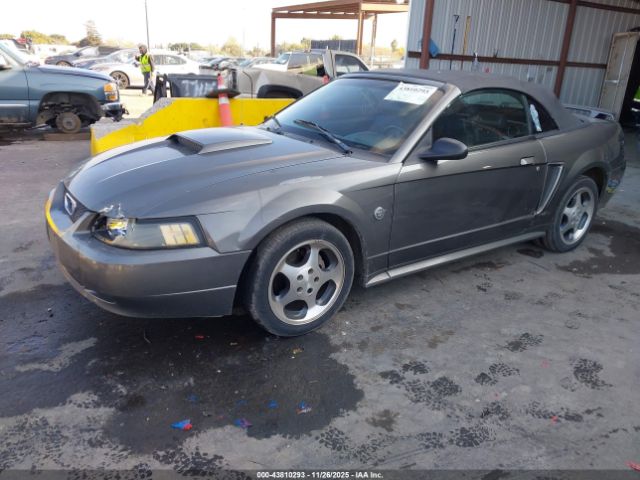 Ford Mustang Image 4