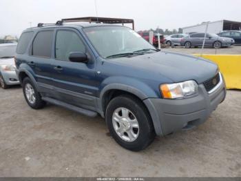  Salvage Ford Escape