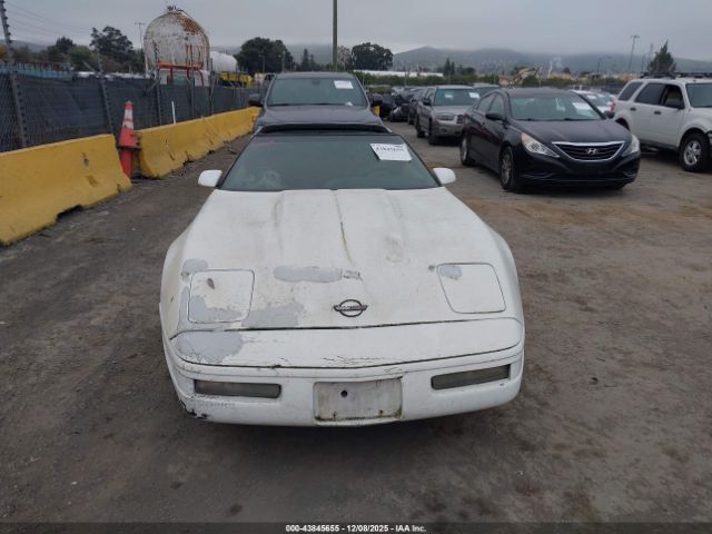 Chevrolet Corvette Image 2