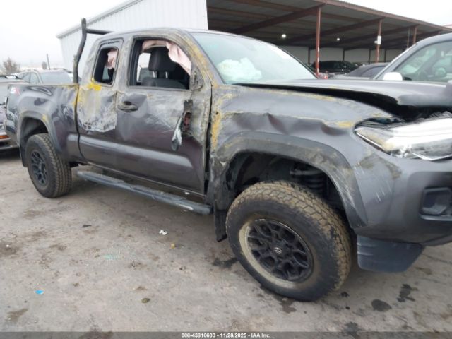 Toyota Tacoma Sr V6 Image 12