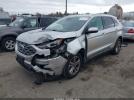 Ford Edge Sel Image 7