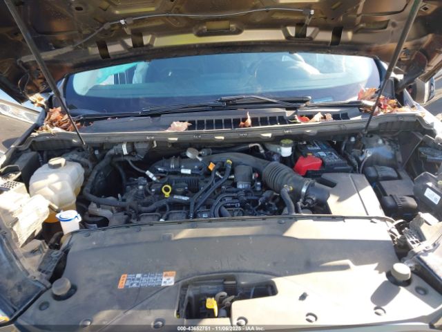 Ford Edge Sel Image 4