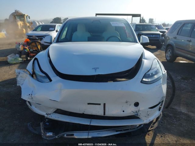 Tesla Model Y Long Range Dual Motor All-wheel Drive Image 3