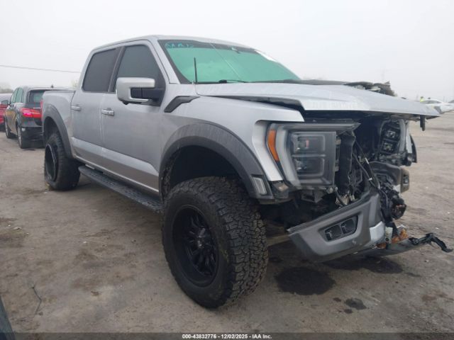 Ford F-150 Raptor Image 1