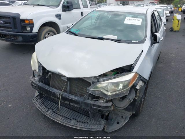 Toyota Corolla S Image 2