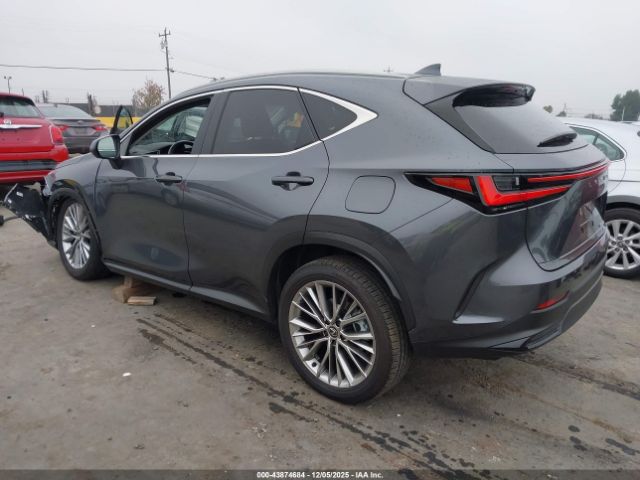 Lexus NX Luxury Image 5
