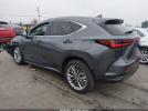 Lexus NX Luxury Image 5