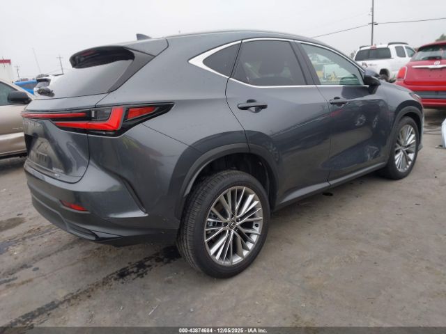 Lexus NX Luxury Image 2