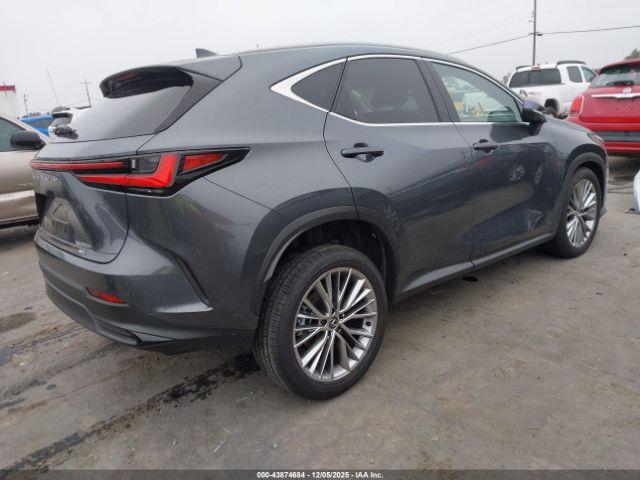 Lexus NX Luxury Image 2