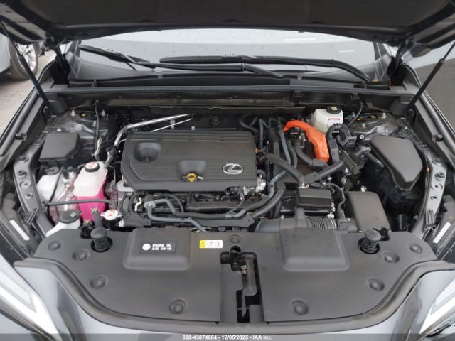 Lexus NX Luxury Image 4