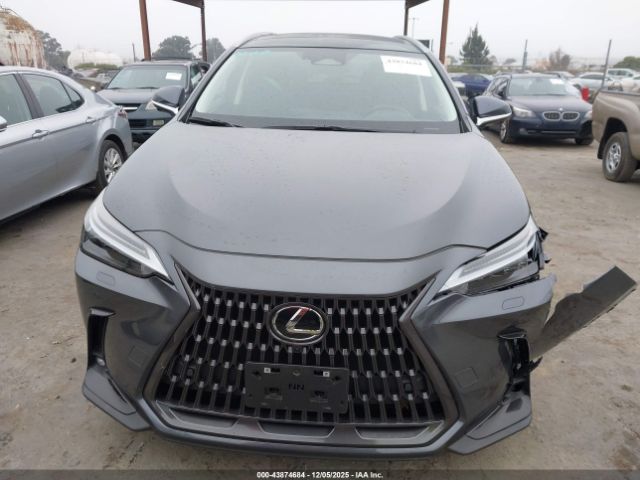 Lexus NX Luxury Image 6