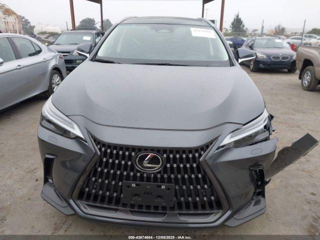 Lexus NX Luxury Image 6