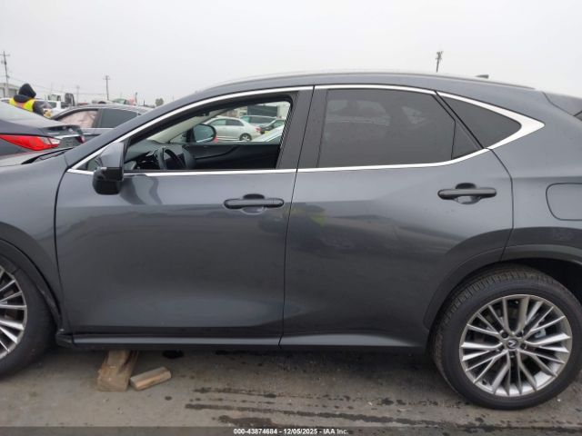 Lexus NX Luxury Image 13