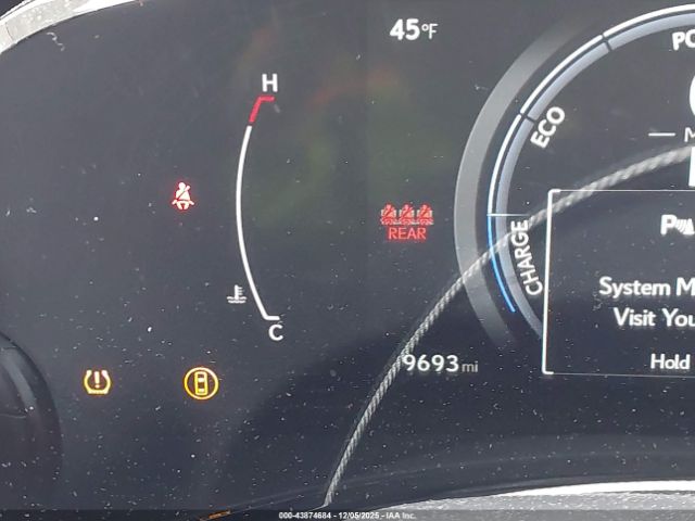 Lexus NX Luxury Image 7