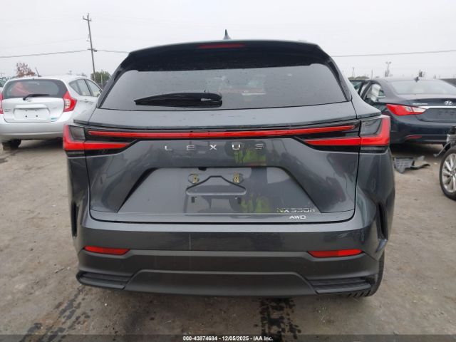 Lexus NX Luxury Image 16