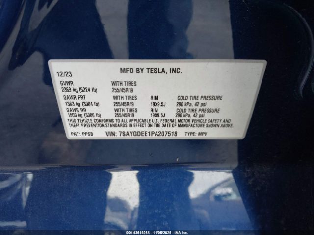 Tesla Model Y Image 7