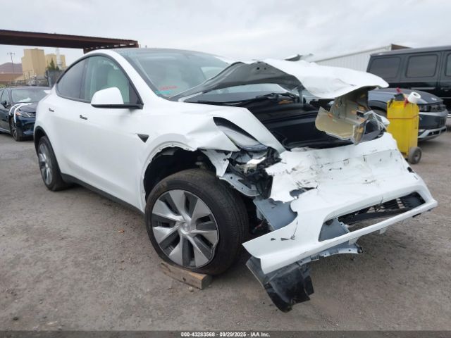 Tesla Model Y Image 1