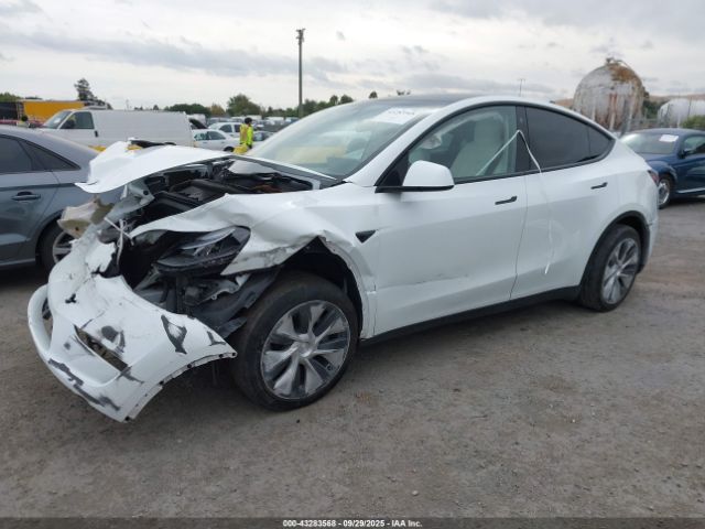 Tesla Model Y Image 10