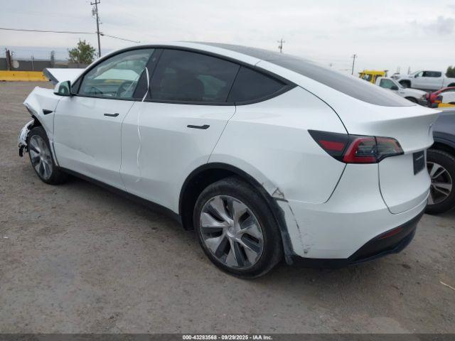 Tesla Model Y Image 6