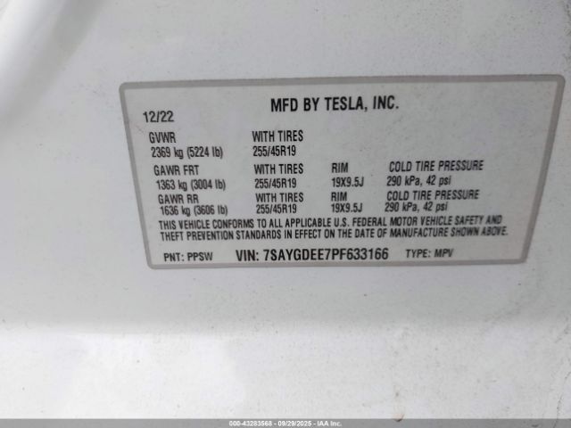 Tesla Model Y Image 7