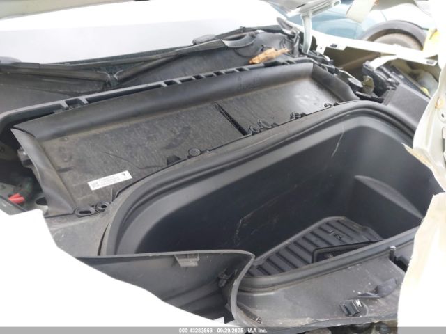 Tesla Model Y Image 12