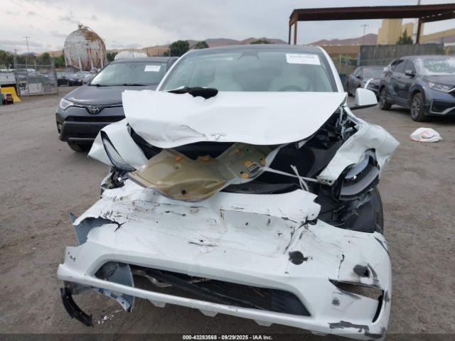 Tesla Model Y Image 19