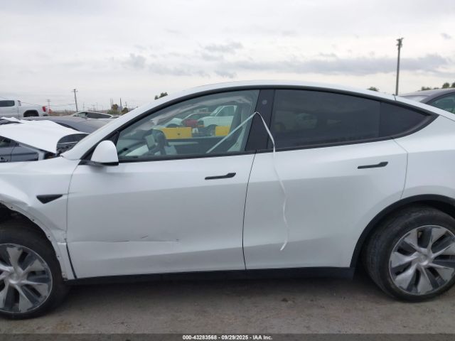Tesla Model Y Image 18