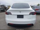 Tesla Model Y Image 3