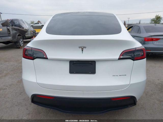 Tesla Model Y Image 3