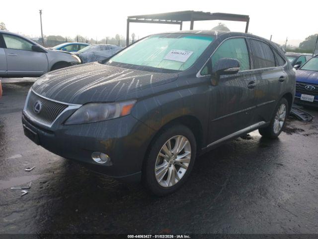 Lexus RX Image 2