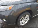 Lexus RX Image 5